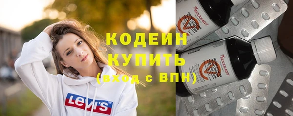 стаф Инта