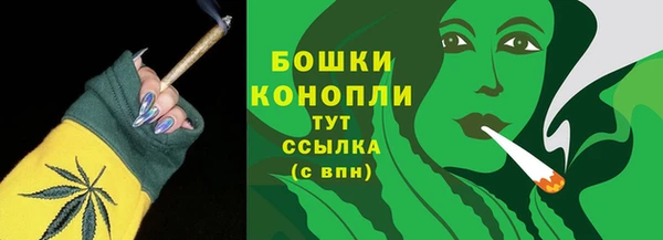 стаф Инта