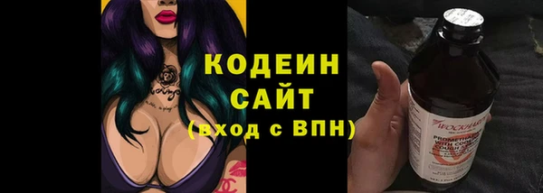 стаф Инта