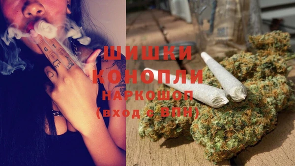 стаф Инта