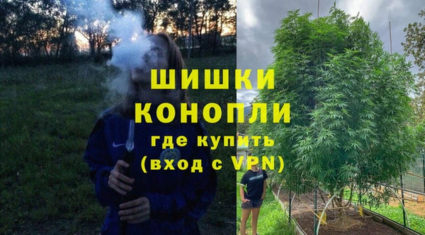 стаф Инта