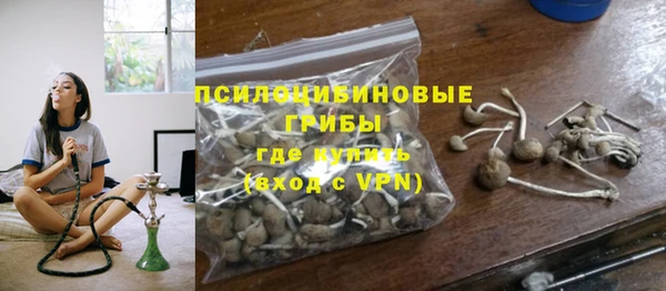 spice Михайлов