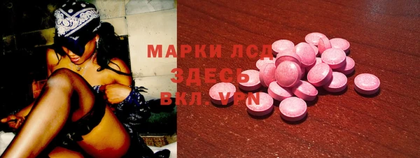 стаф Инта