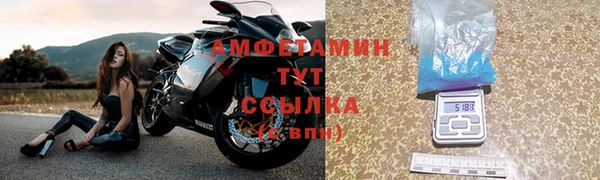 стаф Инта