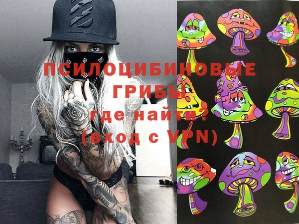 стаф Инта