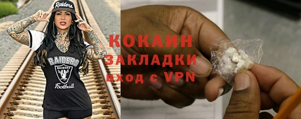 стаф Инта